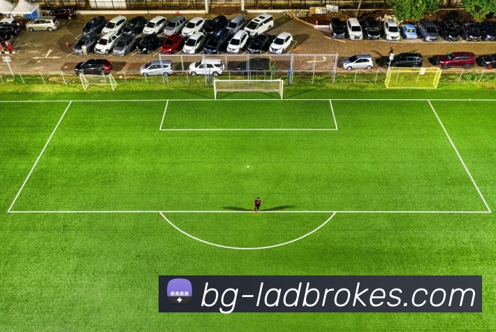 立博体育Ladbrokes外围平台平台生态图